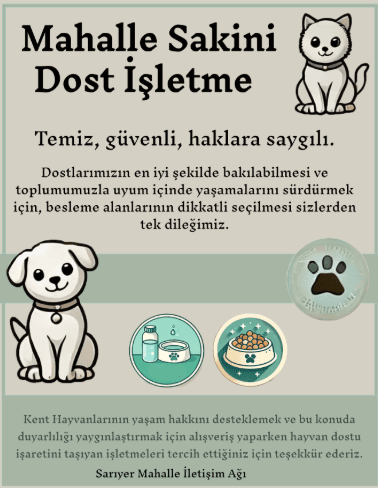 Business window kits